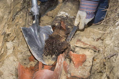 sewer repairs