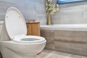 /bathroom-plumbing-repair-sycamore-il