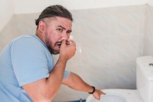 /clogged-toilet-plumber-kingston-il